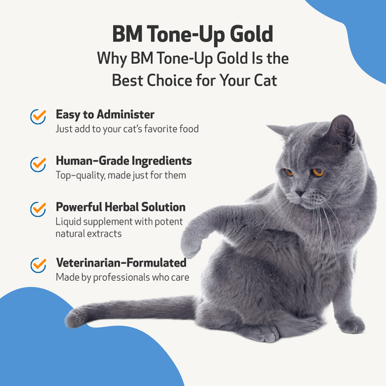 BM Tone Up Gold for Loose Stools in Cats Pet Wellbeing CA