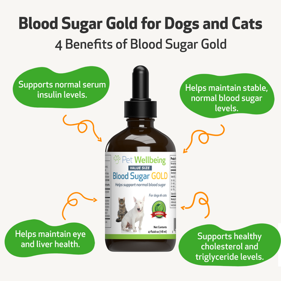 Blood Sugar Gold for Cat Blood Sugar Support Pet Wellbeing CA