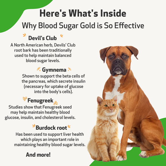 Blood Sugar Gold Blood Sugar Support for Cats