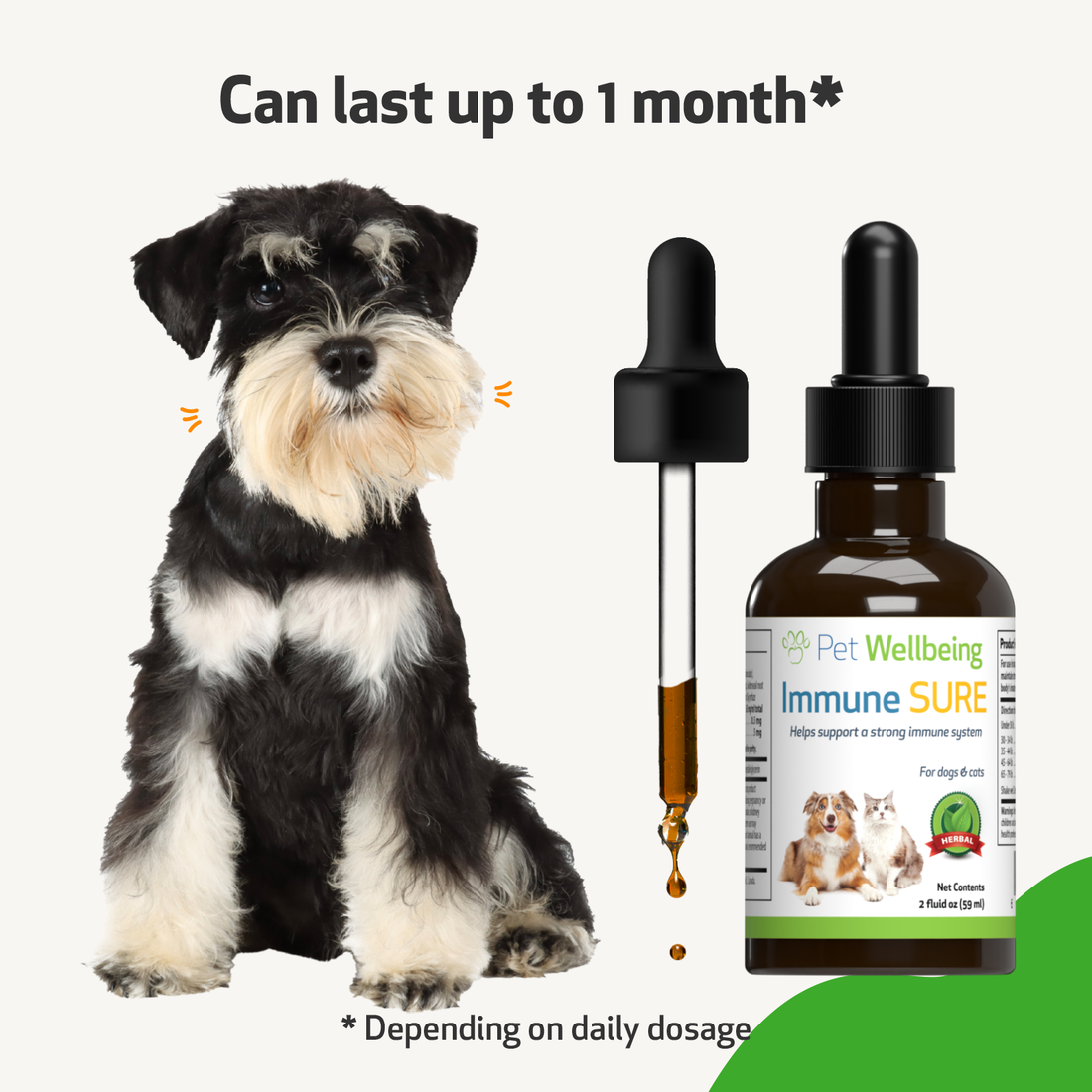 Dog immune booster best sale