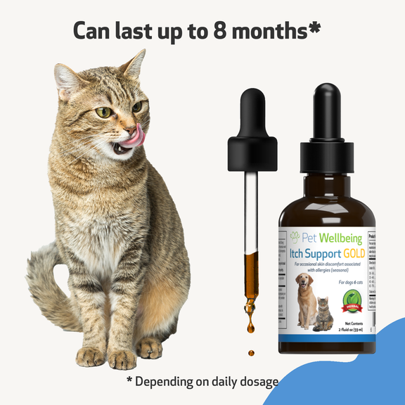Prosense itch solutions 2024 cats