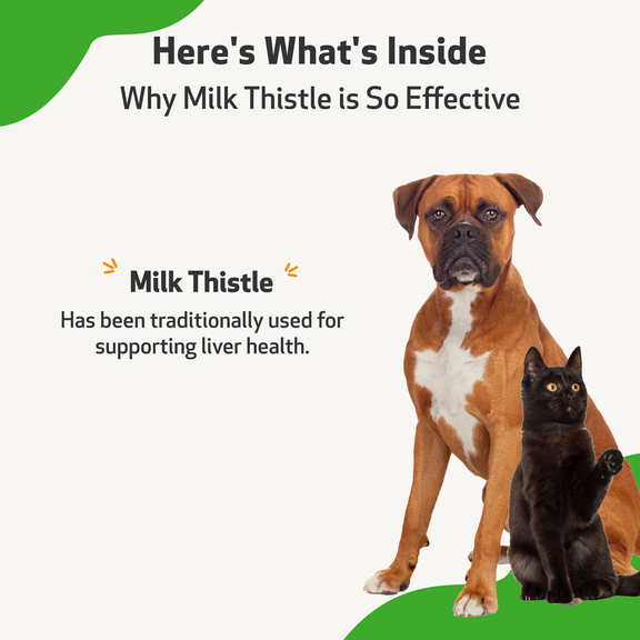 Milk thistle for dogs petsmart online