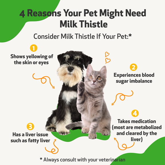 Milk thistle for cats petsmart 2025