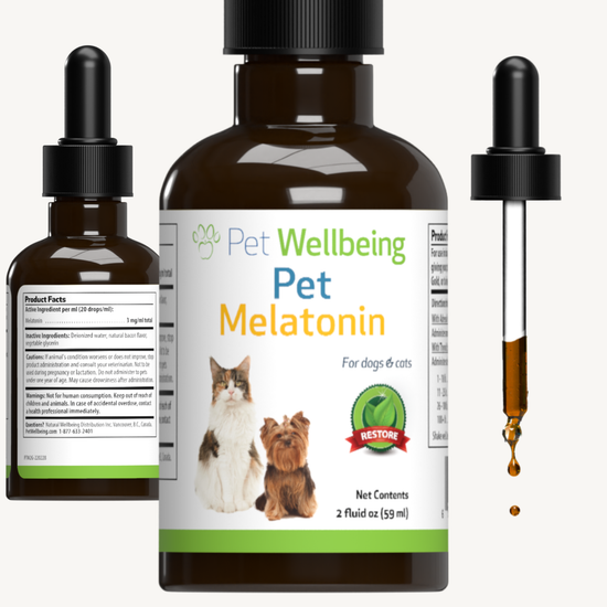 Pet Melatonin for Healthy Sleep Patterns in Dogs Pet Wellbeing CA
