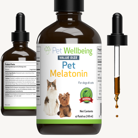 Human melatonin best sale for dogs