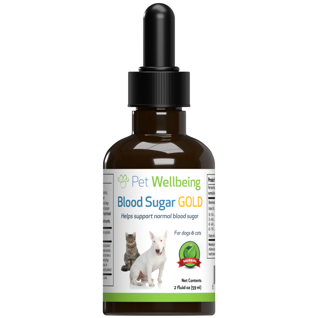 Dog blood store serum eye drops