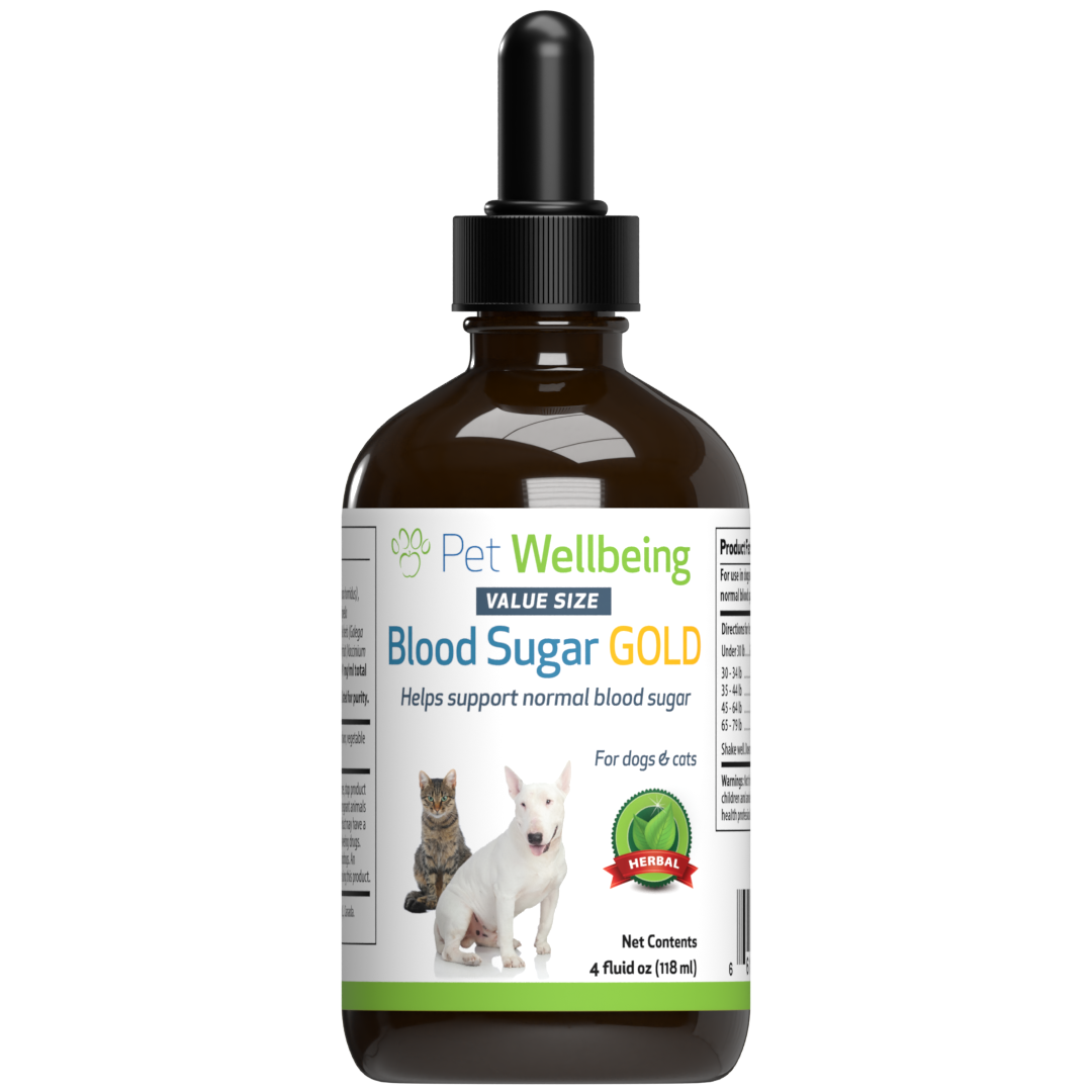 Blood sugar gold for cats hot sale