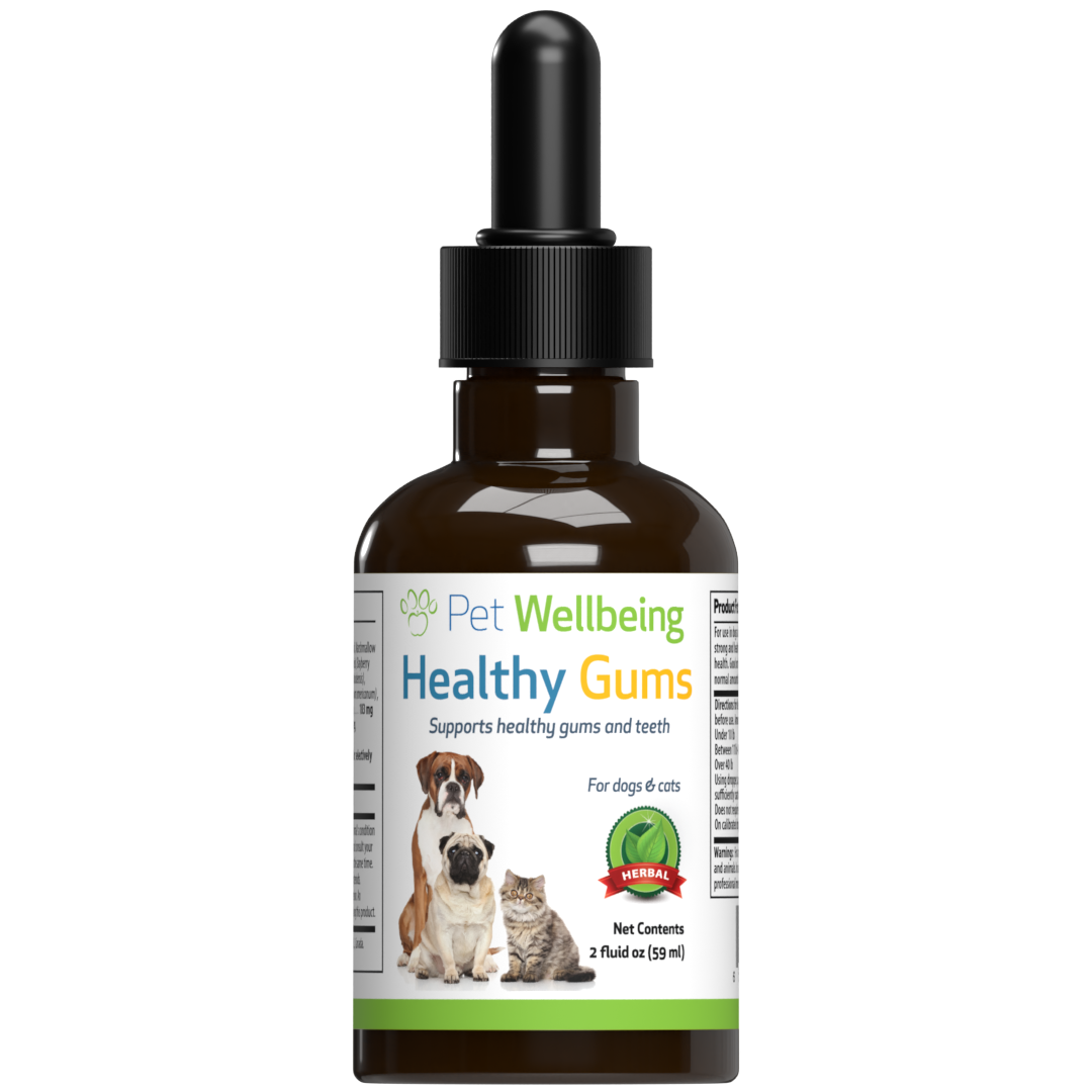 Healthy Gums for Canine Periodontal Health Pet Wellbeing CA