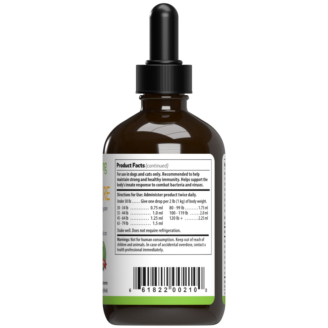Dog immune system supplements online