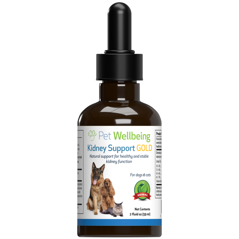 Kidney Support Gold for Cat Kidney Function Pet Wellbeing CA
