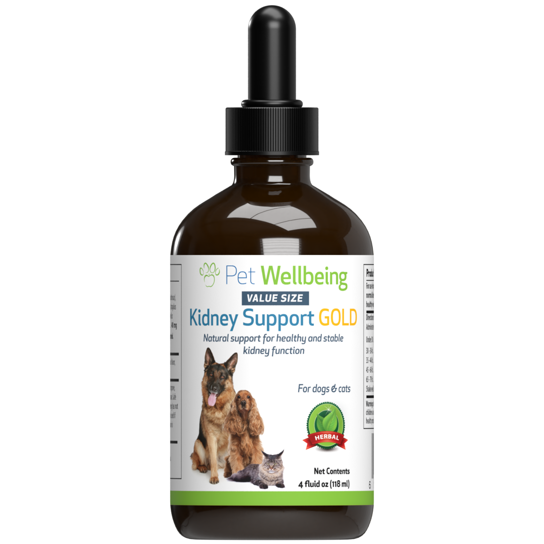 Kidney medicine for cats outlet
