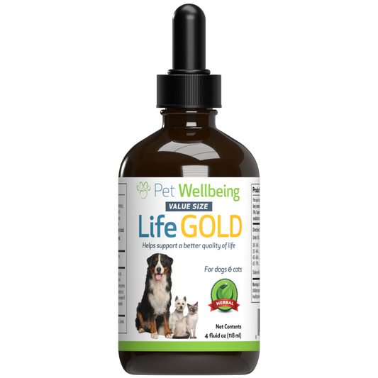 Life Gold - Trusted Care for Dog Cancer