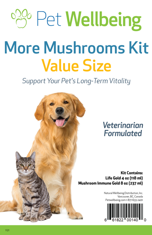 More Mushrooms Kit - Comprehensive Cancer Care Support - Value Size