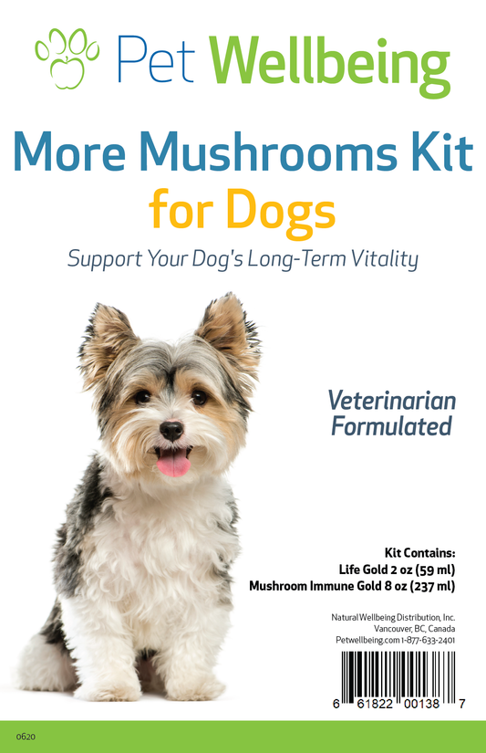 More Mushrooms Kit - Comprehensive Care for Dog Cancer Support