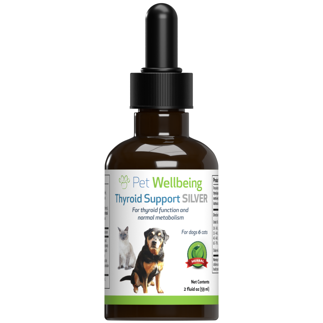 Only natural pet canine thyroid deals wellness