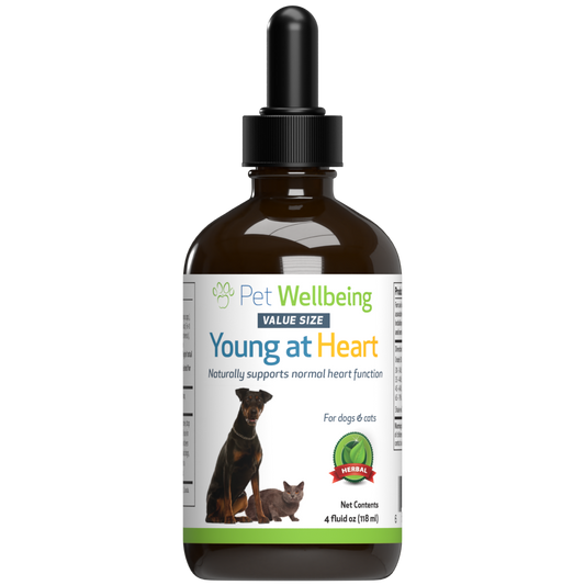 Natural dog health best sale